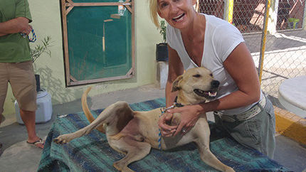 los cabos humane society