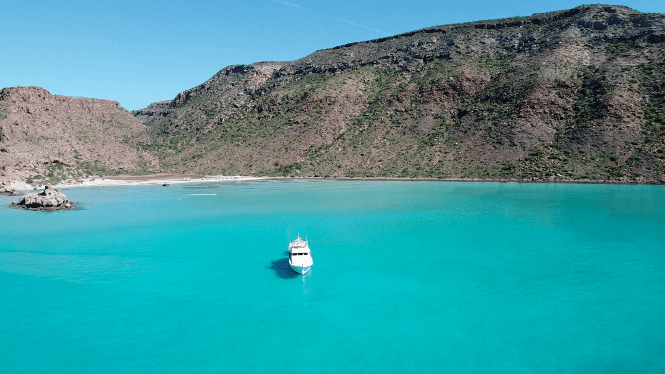 cruising sea of cortez